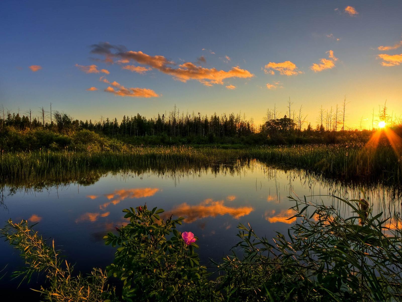 Lake Scenery